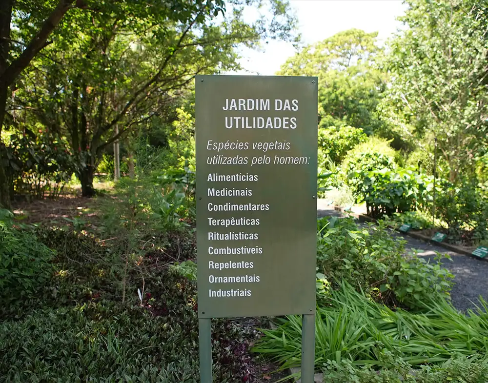 Visita Guiada com Harri Lorenzi e Gaspar Yamasaki - 28/02/26 - Imagem 7