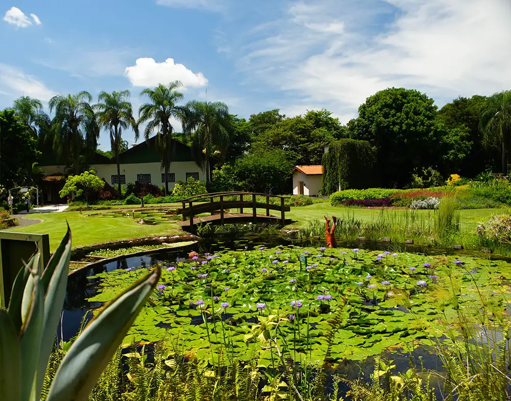 Visita Guiada com Harri Lorenzi e Gaspar Yamasaki - 28/02/26 - Imagem 5