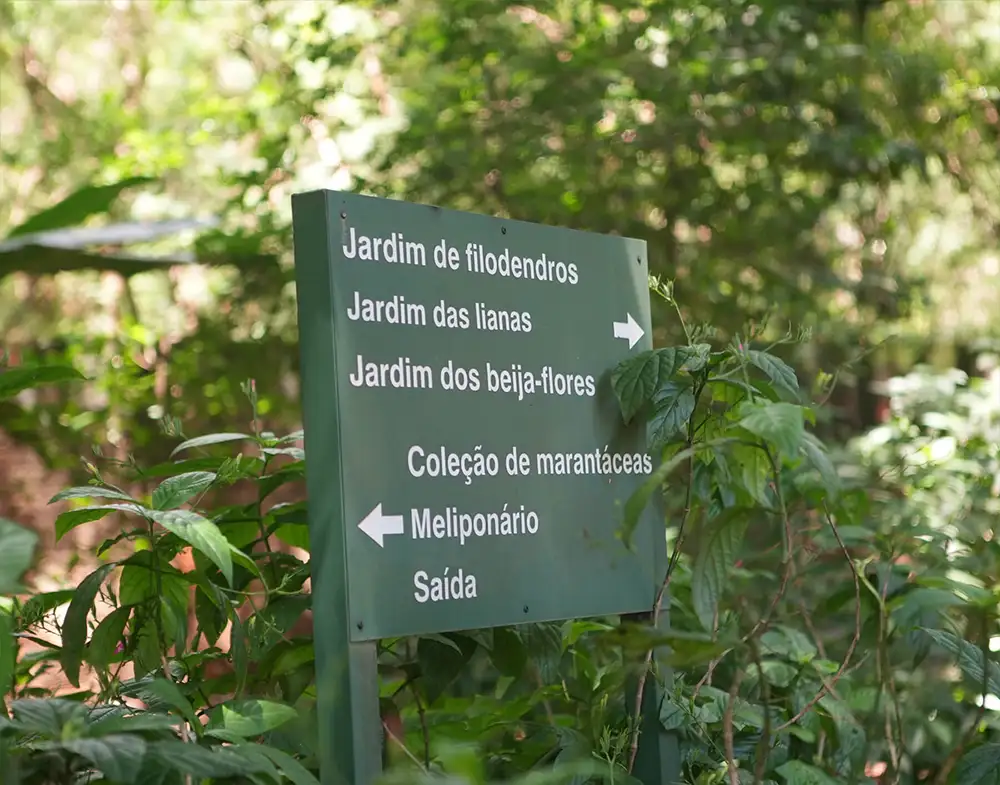 Visita Guiada com Harri Lorenzi e Gaspar Yamasaki - 28/02/26 - Imagem 3
