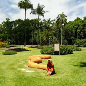 Ingressos Plantarum - 2026