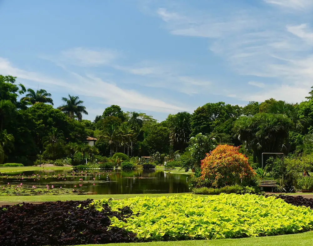 Visita Guiada com Harri Lorenzi e Gaspar Yamasaki - 28/02/26 - Imagem 6