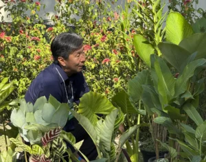 Curso Composição de Plantas para Projetos - 21/03/2026