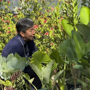 Curso Composição de Plantas para Projetos - 21/03/2026